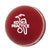 Kookaburra Practice Ball
