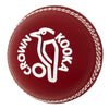 Kookaburra Crown Cricket Ball