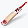 DSC Flip 100 Cricket Bat