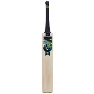 GM Aion DXM 909 TTNOW Cricket Bat