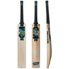 GM Aion Select DXM TTNOW Cricket Bat