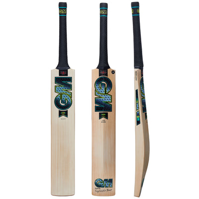 GM Aion Select DXM TTNOW Cricket Bat