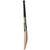 GM Aion DXM 909 TTNOW Cricket Bat