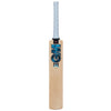 GM Diamond DXM 606 TTNOW Cricket Bat