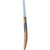 GM Diamond DXM 606 TTNOW Cricket Bat