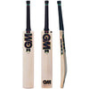 GM Hypa DXM Signature TTNOW Cricket Bat