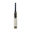 GM Hypa DXM Signature TTNOW Cricket Bat