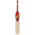 Kingsport Big Mondy Cricket Bat