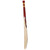 Kingsport Big Mondy Cricket Bat