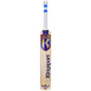 Kingsport Noble Willow Players Edition Cricket Bat