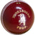 Kookaburra Turf Reject Ball