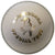Kookaburra Special Test Ball