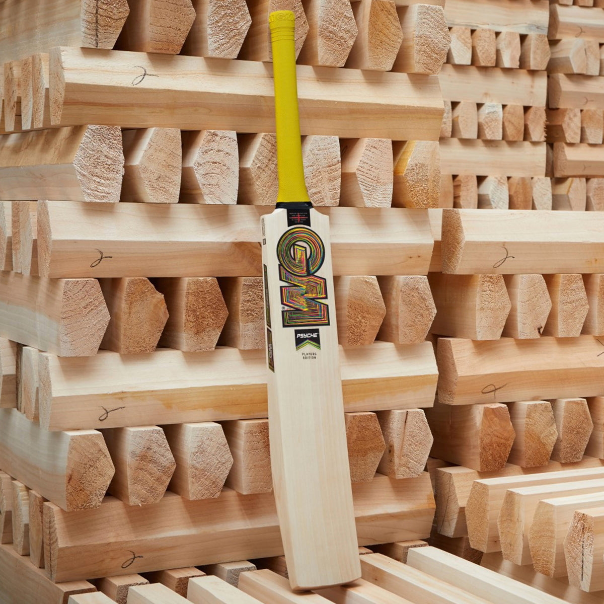 GM Psyche Ben Duckett Players Edition Cricket Bat