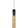 Robinson Sapphire Cricket Bat