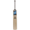 SS TON Smacker Blaster Cricket Bat