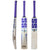 SS TON Champion Cricket Bat