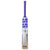 SS TON Champion Cricket Bat