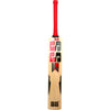 SS TON Gutsy KW Cricket Bat