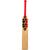 SS TON Gutsy KW Junior Cricket Bat