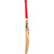 SS TON Gutsy KW Junior Cricket Bat