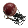 THE V NET Cricket ball, string, swivel clip pack