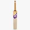 DSC KW Cricket Set