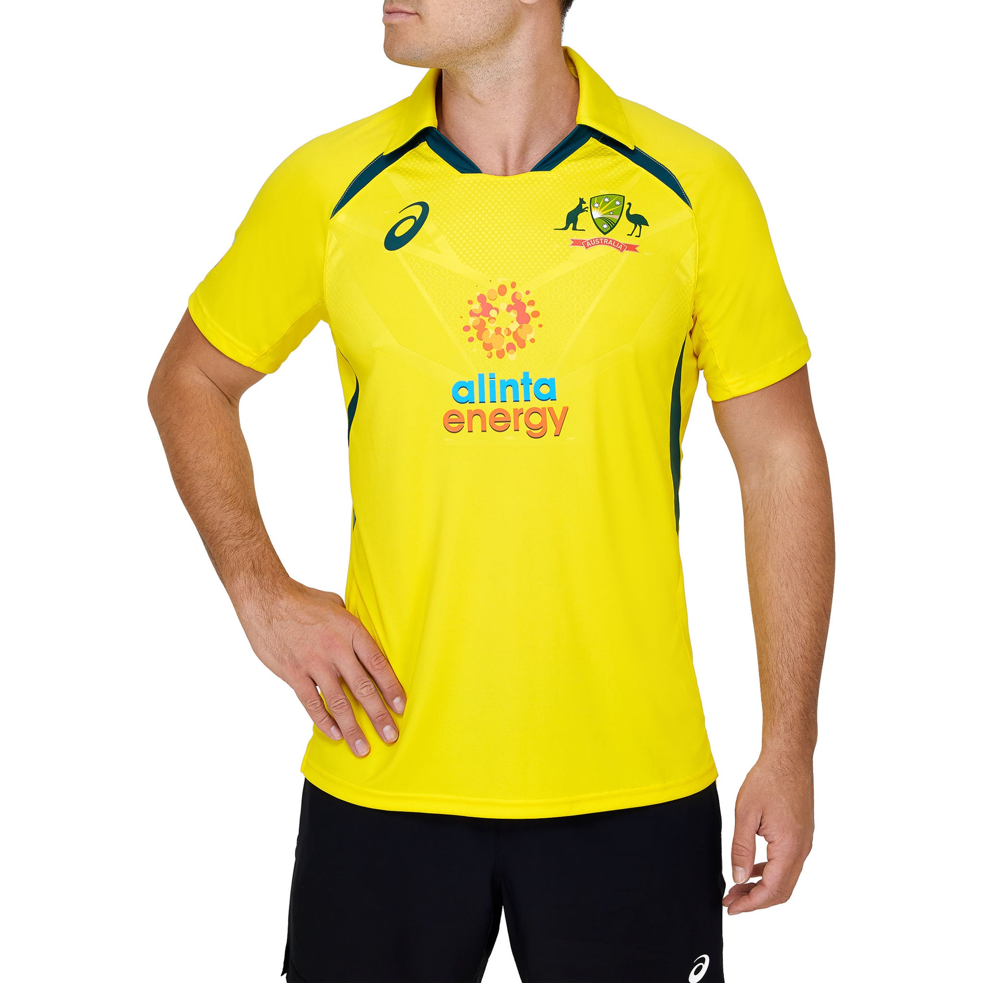 Asics cricket shirt shop