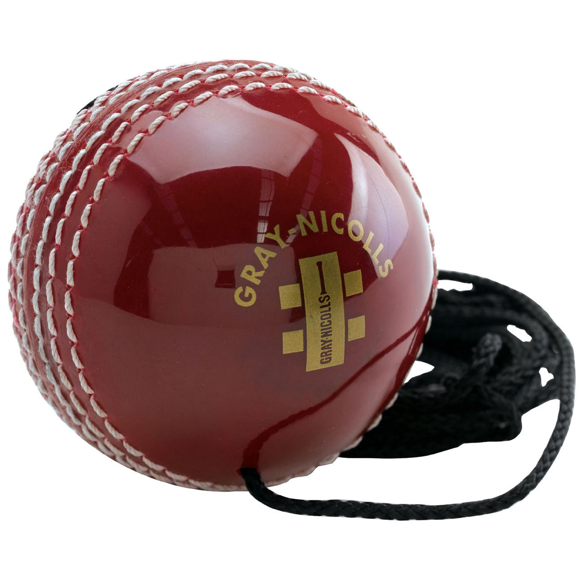 Gray-Nicolls Batting Master Leather Ball