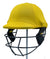 Designer Helmet Cover