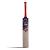 CA Plus 5000 Cricket Bat